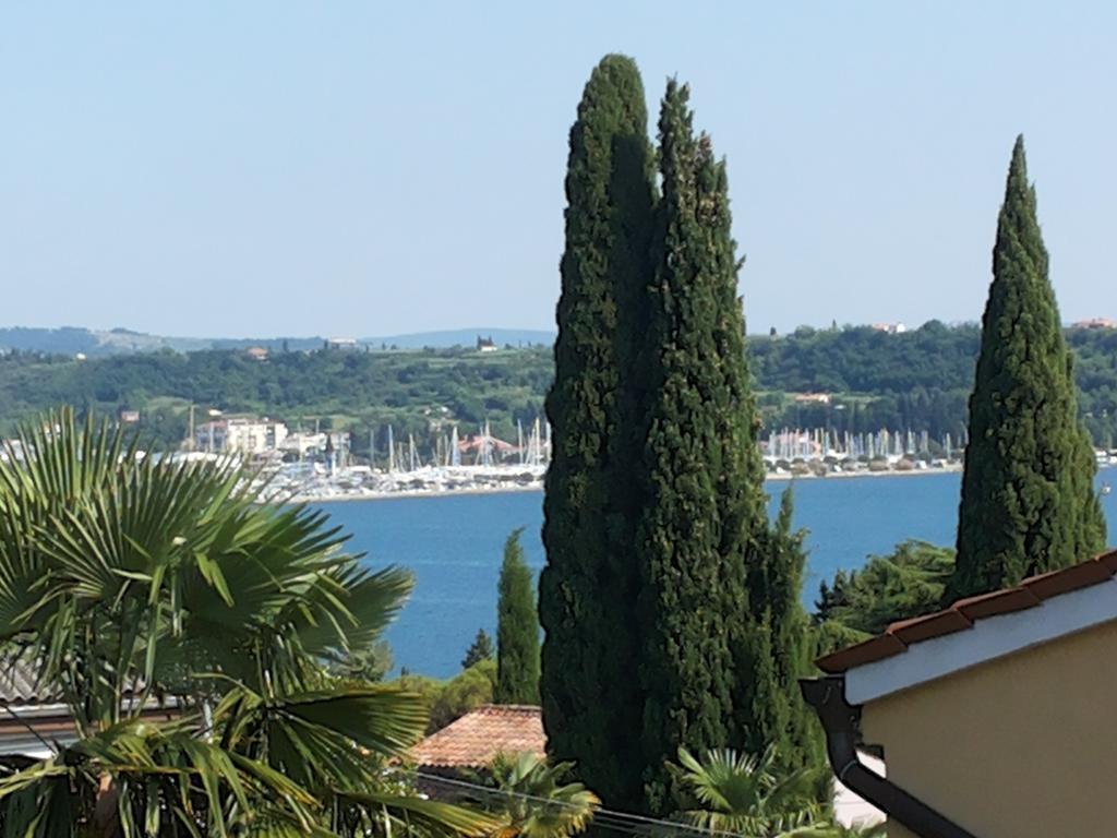 Apartment Solinska Pot Portoroz Bilik gambar